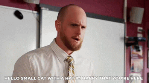 Bald Man With Beard and Tie Says Hello Small Cat With Hat