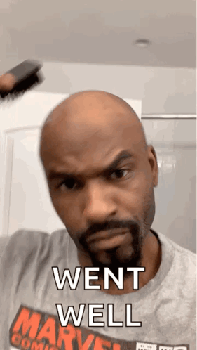 Bald Man With Beard Holding Brush Saying Went Well GIF