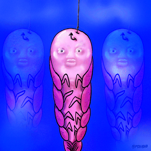 Bald Shrimp Dance Moves GIF