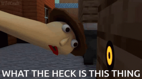 Baldi What The Heck Is This Thing GIF