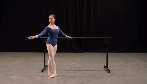 Ballet Poses Ballerina Training GIF