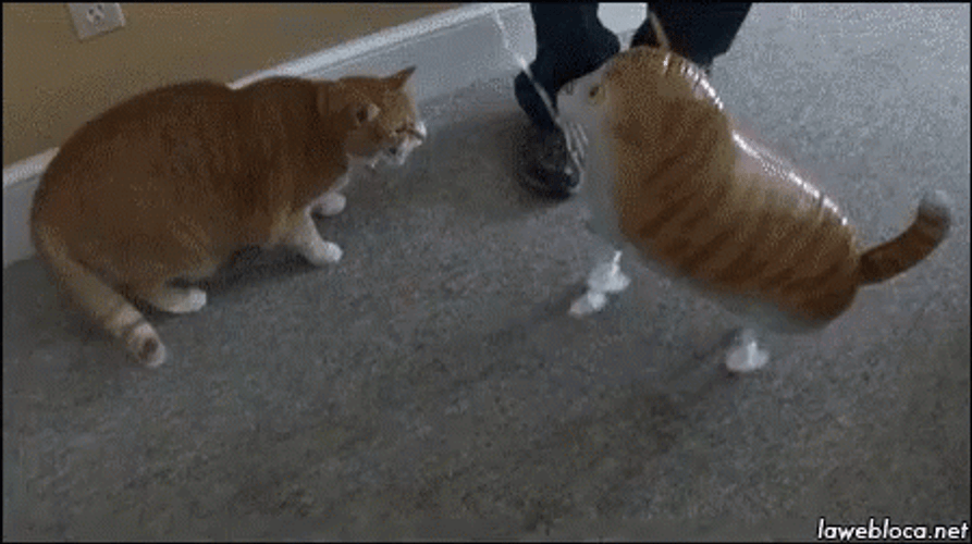 Balloon Deflating GIF