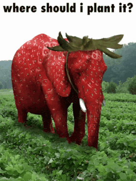 Balloon Observatory Uma Gif GIF