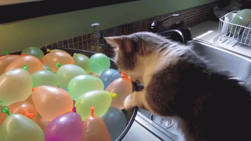 Balloon Pop Scared Cat GIF