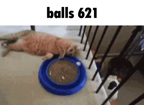 Balls 621 Gif GIF