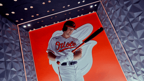 Baltimore Orioles Don't Mess With Us GIF