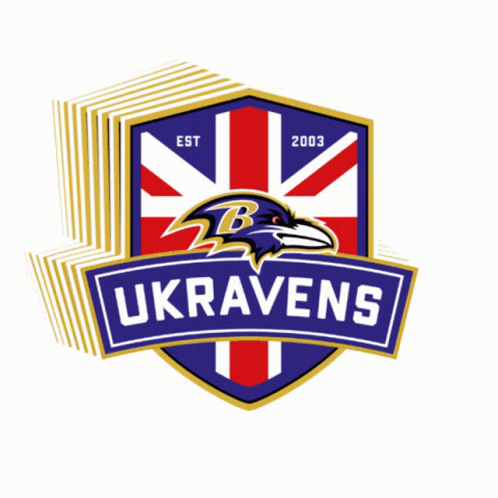 Baltimore Ravens Rooting For Rg3 GIF