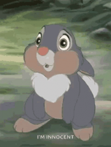 Bambi Rabbit Standing in Grass Looking at Camera