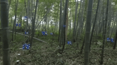 Bamboo Forest Technology GIF