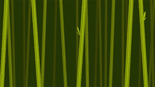 Bamboo Panda Airplane GIF