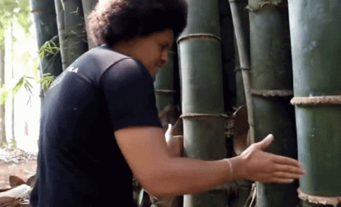 Bamboo Tapping Man GIF