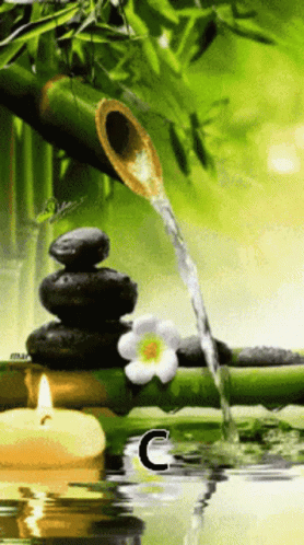 Bamboo Water Fountain GIF