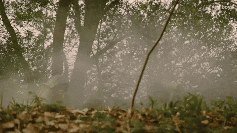 Band Of Brothers Attacking With Smokey Effect GIF