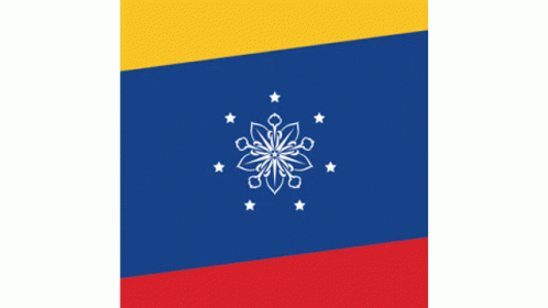 Bandera De Venezuela GIF