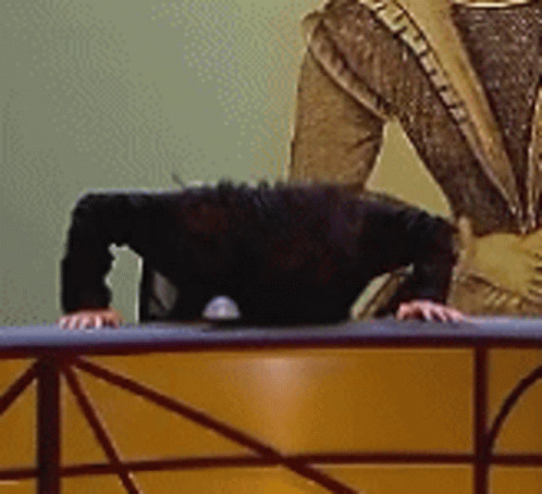 Bang Head On Desk GIF