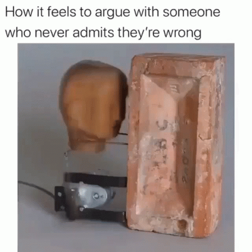 Banging Head Against Wall Wooden Structure GIF