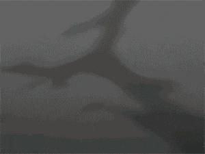 Bankai Bleach Power Anime Character GIF