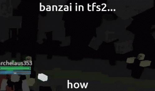 Banzai TFS2 How Video Game