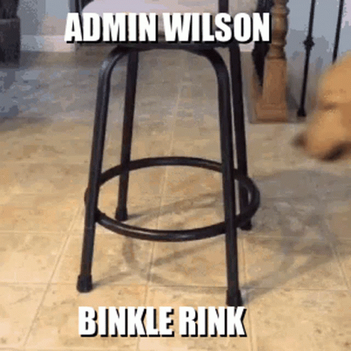 Bar Stool Saying Admin Wilson Binkle Rink