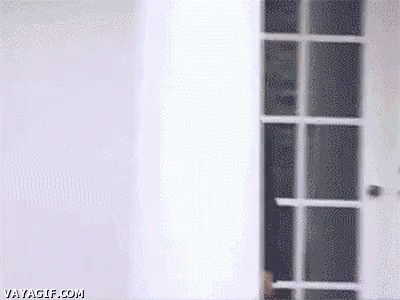 Barack Obama Door GIF