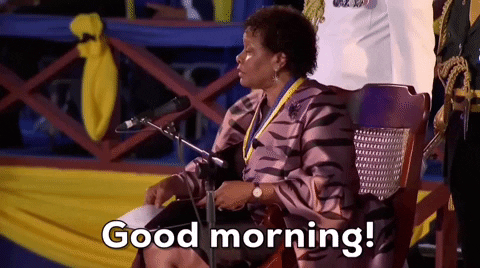 Barbados President Good Morning GIF