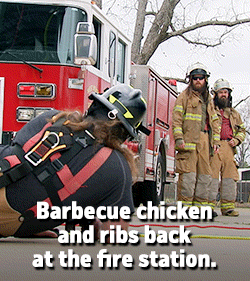 Barbecue Chicken And Ribs GIF