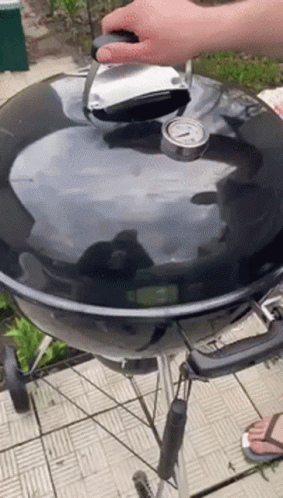 Barbecue Grill Turning Over Mishap GIF