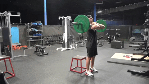 Barbell Row Front Squats Technique GIF