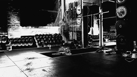 Barbell Row In Dark Themed Gym GIF