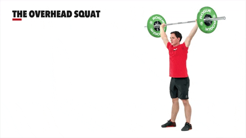 Barbell Row The Overhead Squat Technique GIF