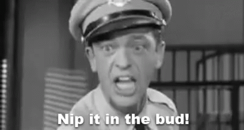 Barney Fife Screaming GIF