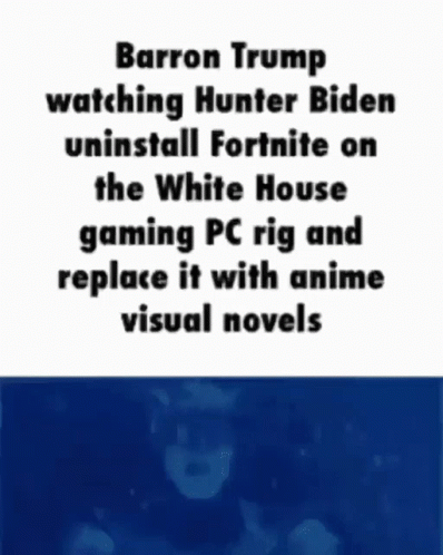 Barron Trump Watches Hunter Biden Swap Fortnite for Anime