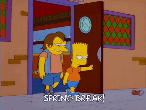Bart Simpson and Ned Flanders Spring Break Door