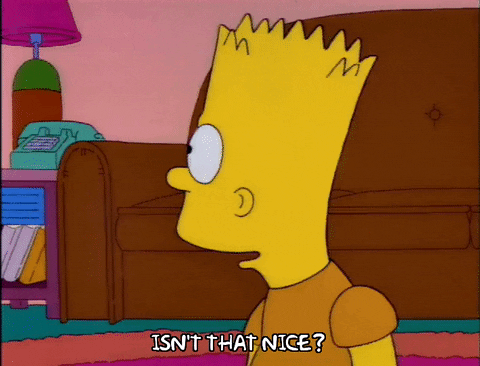 Bart Simpson Isn't Thats Nice GIF