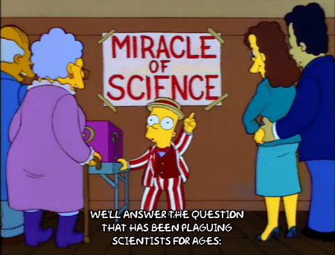 Bart Simpson Miracle Of Science GIF