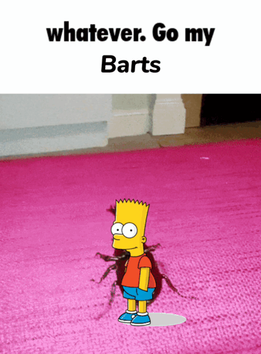 Bart Simpson Pink Rug Whatever Go My Barts