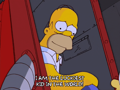 Bart The Luckiest Kid In The World GIF