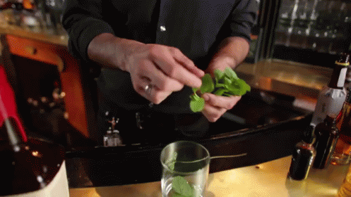 Bartender Preparing Mint Drink GIF