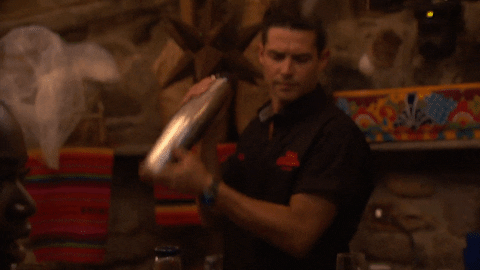 Bartender Shaking Bottle Bars GIF