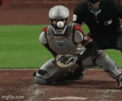 Baseball Catcher Number 5 GIF