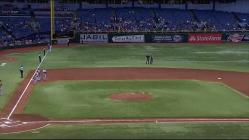 Baseball Field Advertising Jabil, Tampa Bay Times, Budweiser