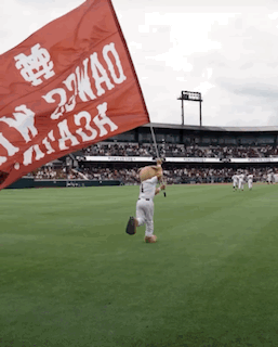 Baseball Field Mascot Holding Flag Saying 2wao