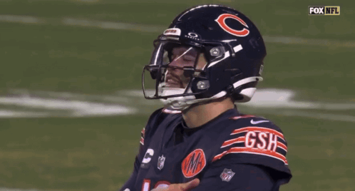 Baseball Field With BearsWin GIF