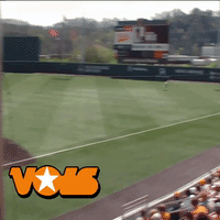 Baseball Field With Vox Logo
