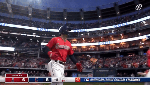 Baseball Game American League
