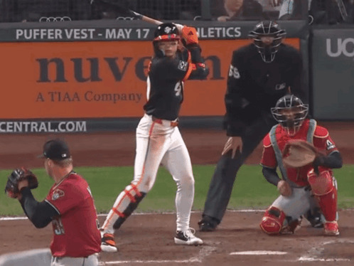 Baseball Game at Puffer Vest