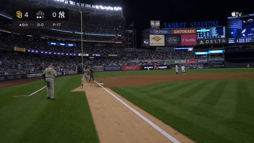 Baseball Game at Yankee Stadium