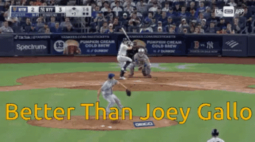 Baseball Game Better Than Joey Gall GIF