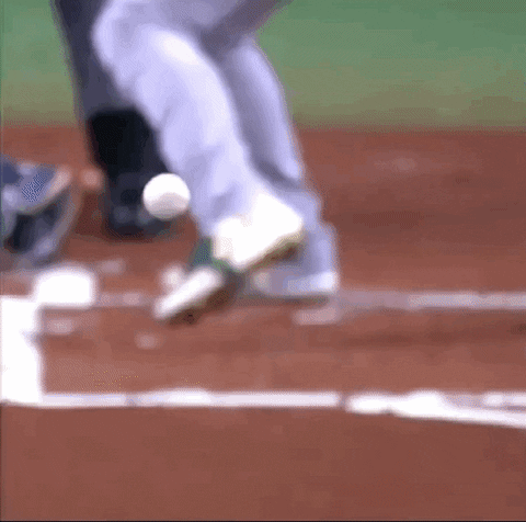 Baseball Game Butt Hit GIF