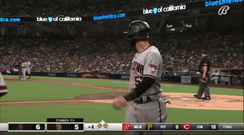 Baseball Game In Blue Shield Stadium GIF